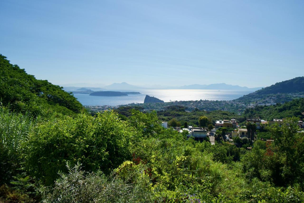 Relais Villa Ettore Barano dʼIschia Kültér fotó
